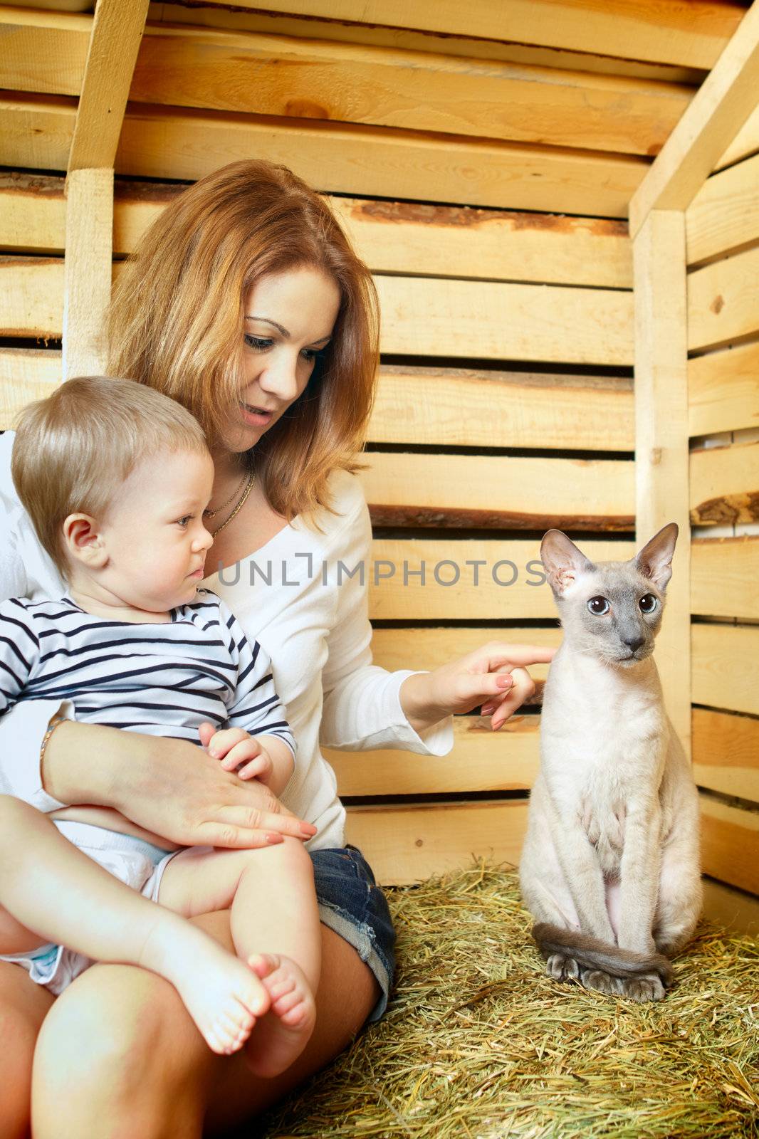 mother, baby and funny cat on hayloft