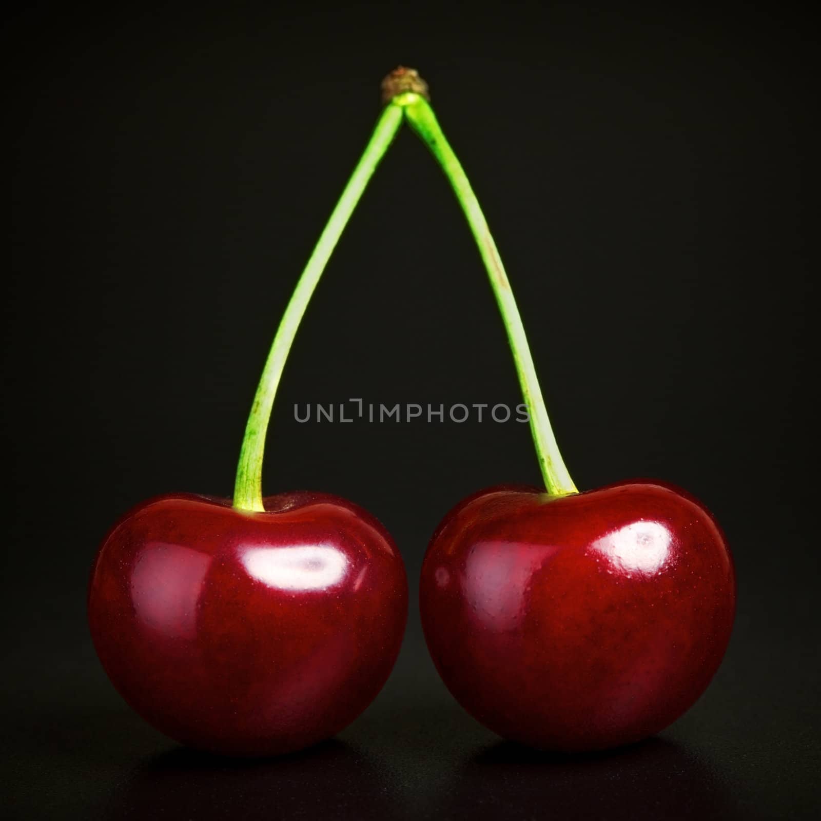 two fresh ruby cherries on black background