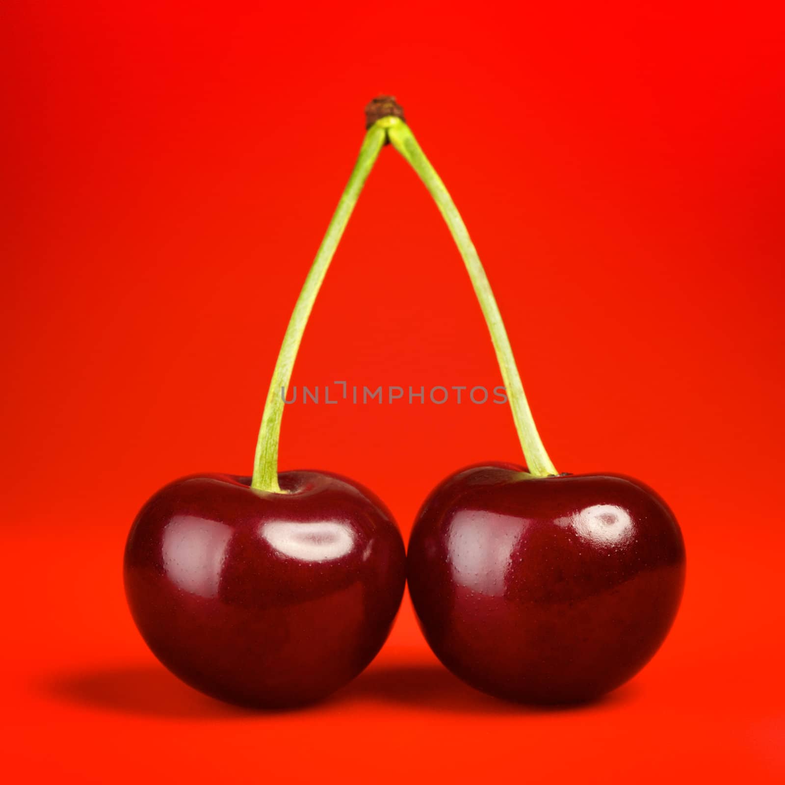Fresh Cherry by petr_malyshev