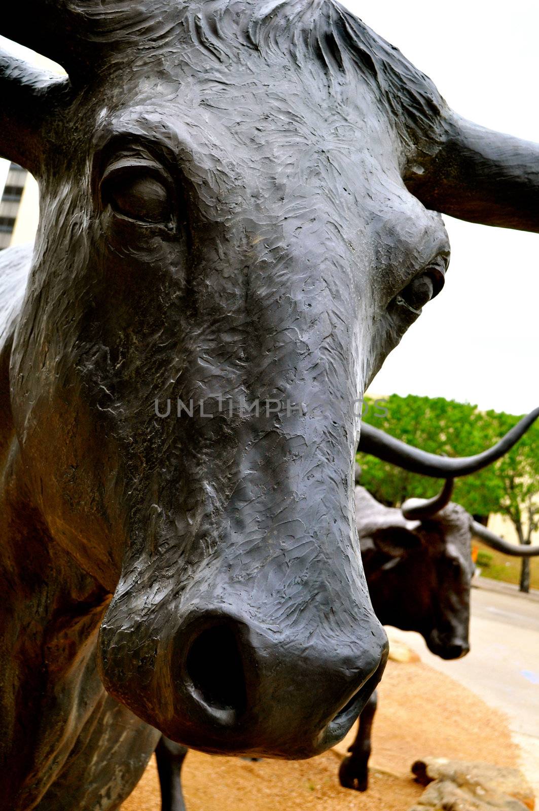 Waco statue longhorn closeup by RefocusPhoto