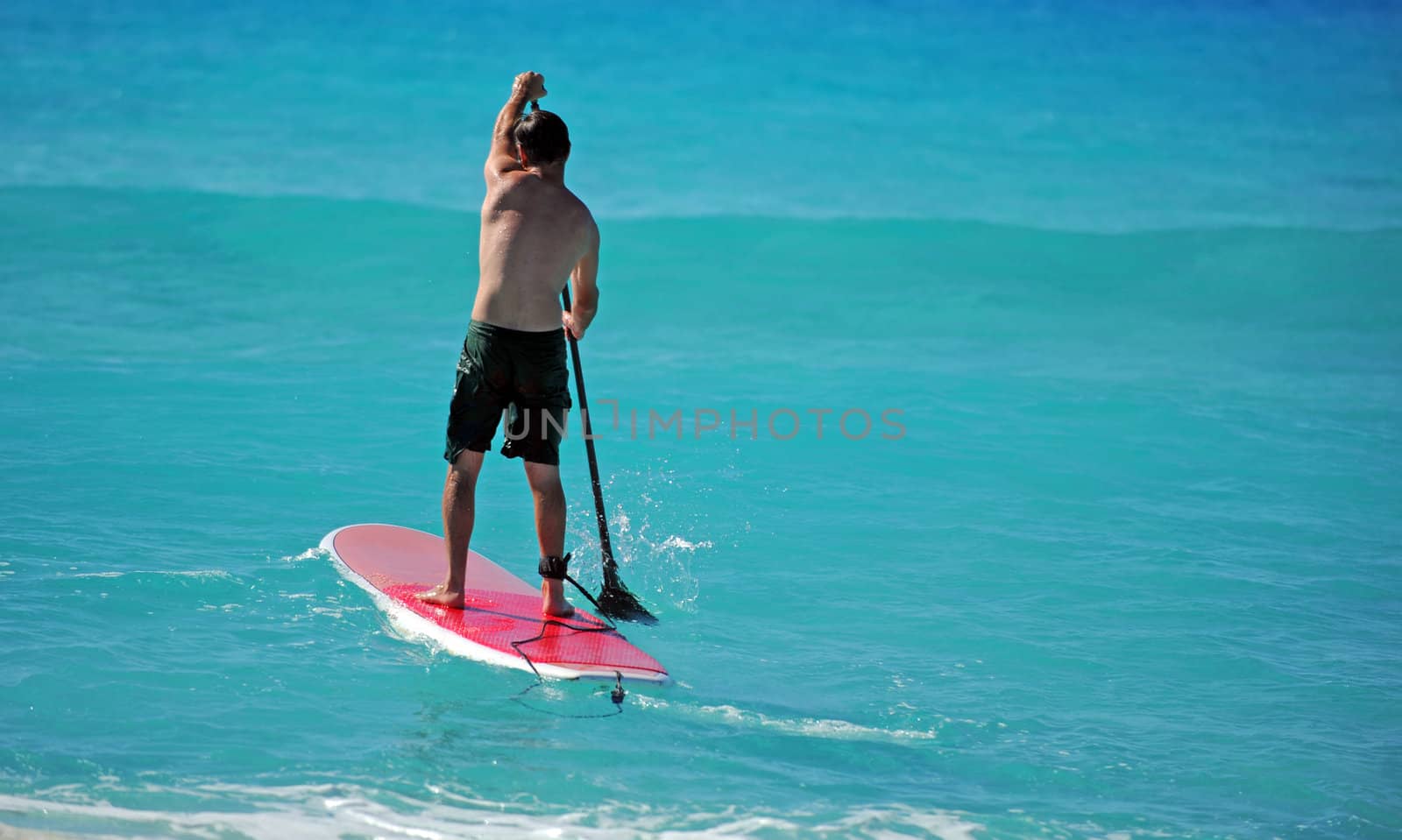 Man on Paddle Board paddling out to the ocean in tropical waters