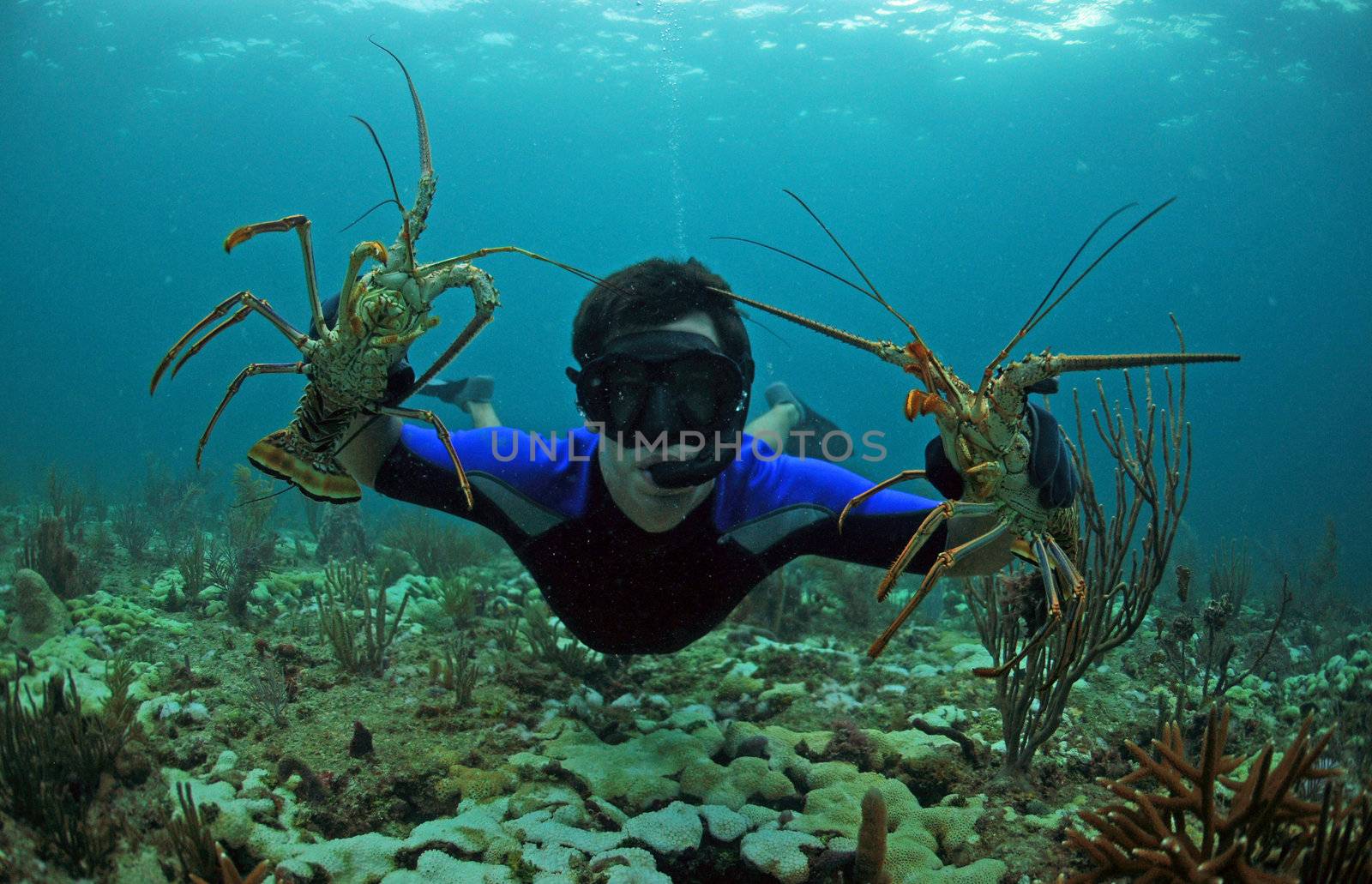 Young man free diving in ocean and catching lobster