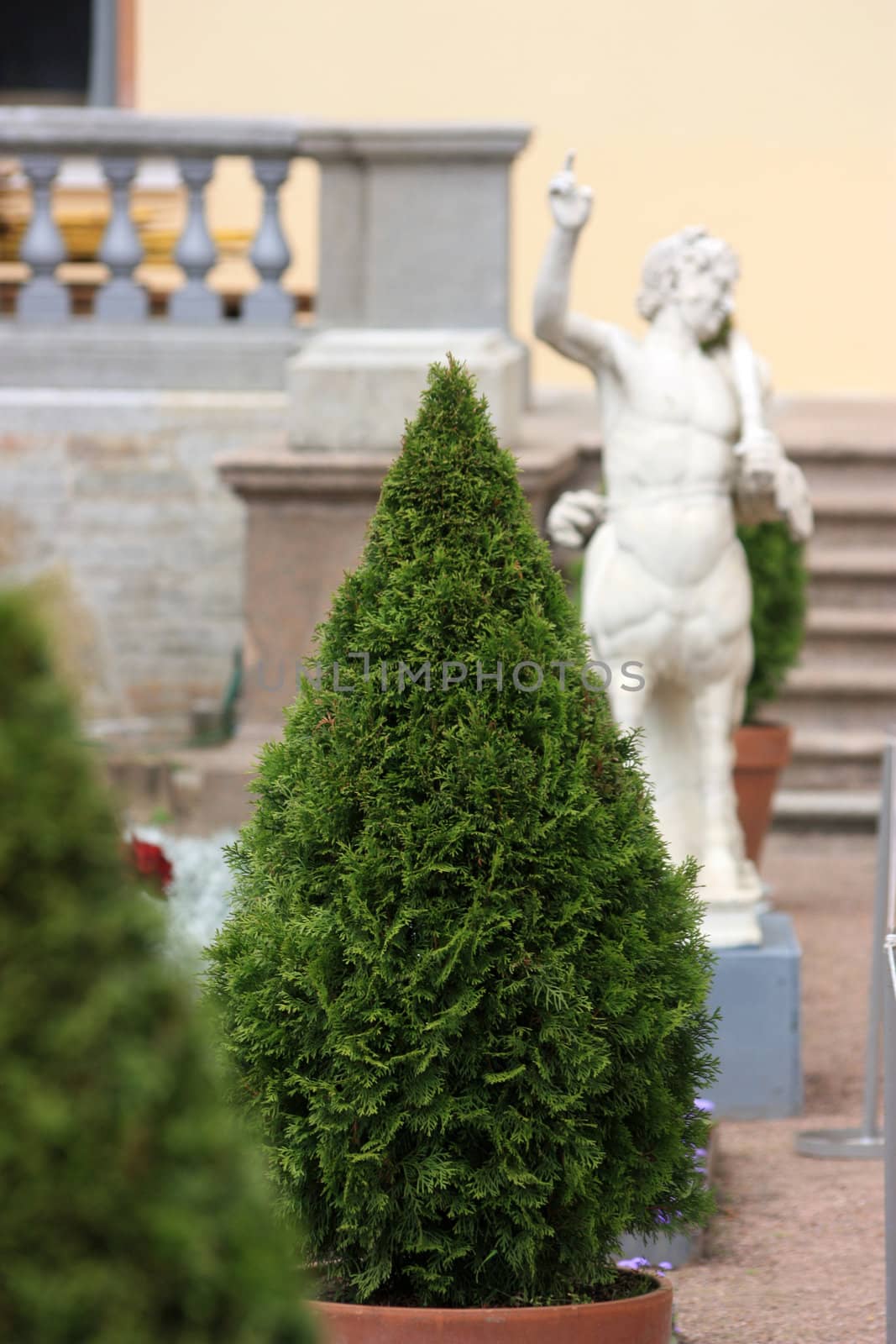 Ornamental tree cone amid statues and banisters.