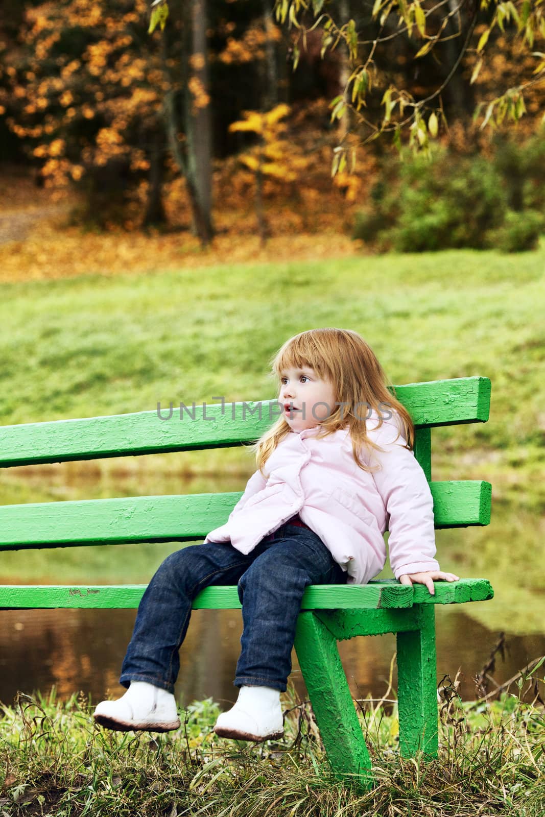 beautiful little girl on bench in autumn park