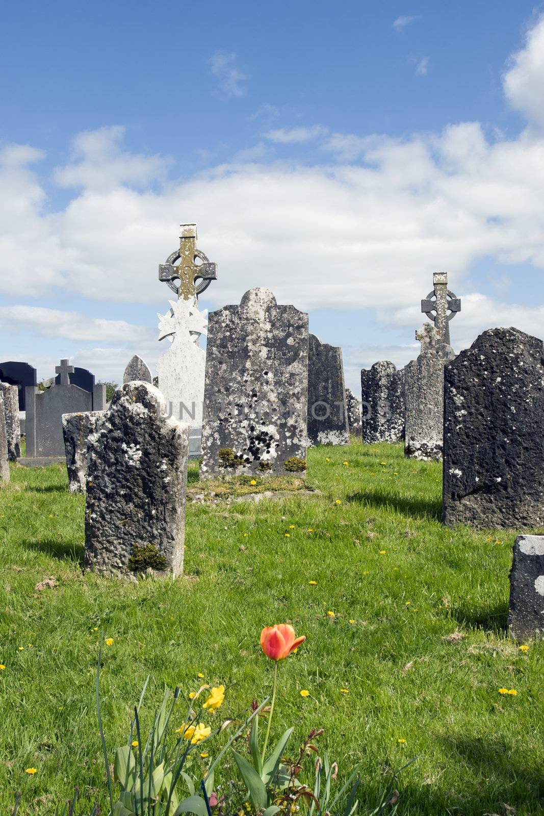 old ancient Celtic graveyard with unmarked gravestones and flowers in Ireland