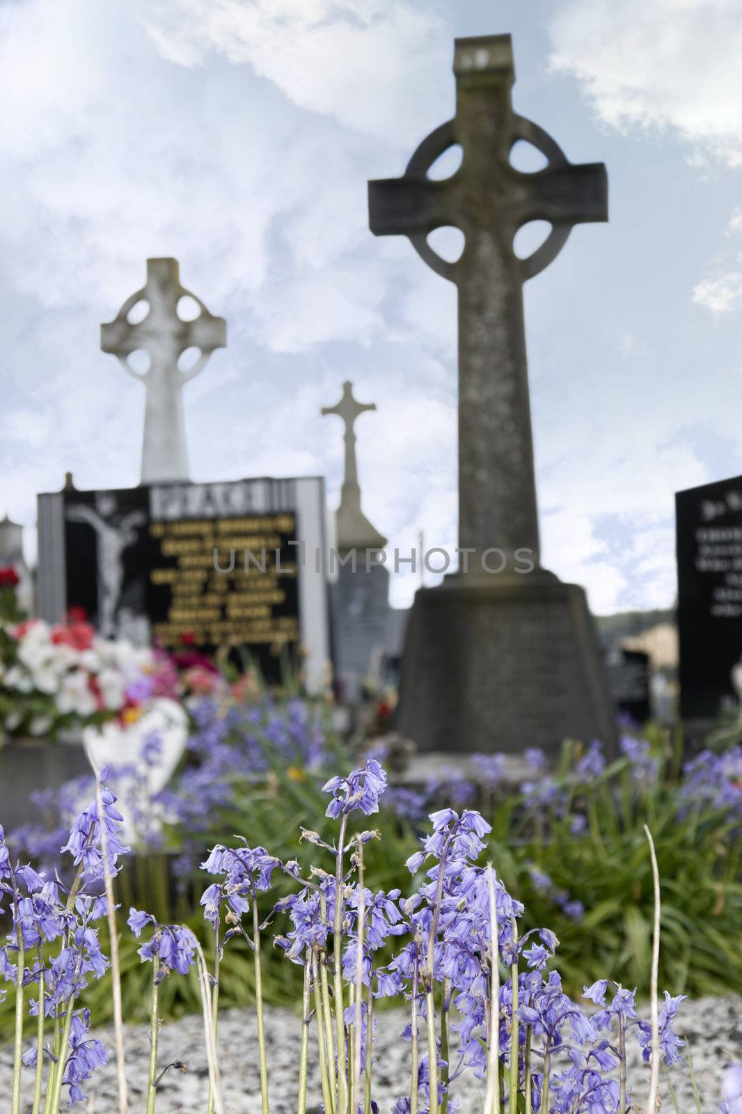 old ancient Celtic graveyard with unmarked gravestones and bluebell flowers in foreground