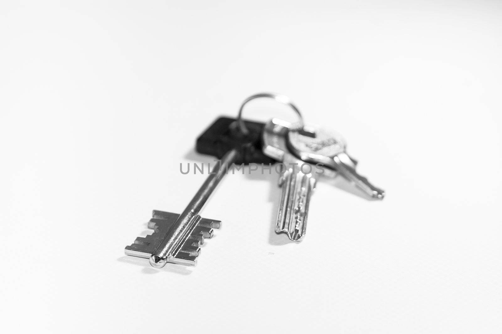 Home Keys isolated against a white background