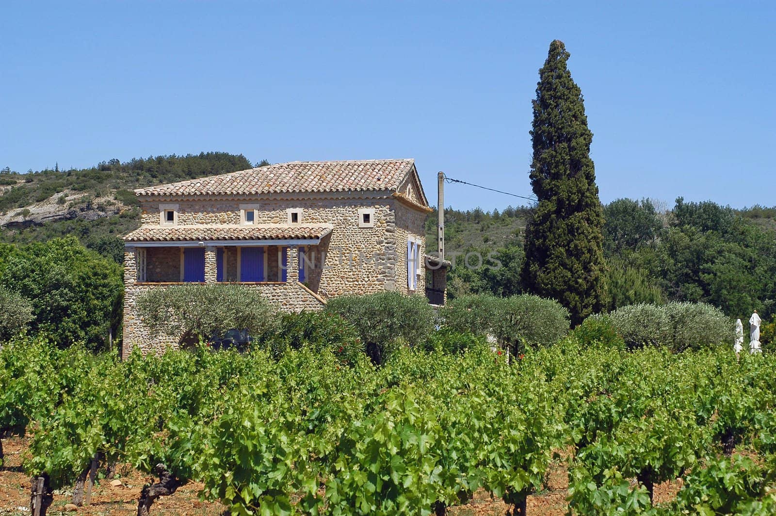 old Cevennes house                                