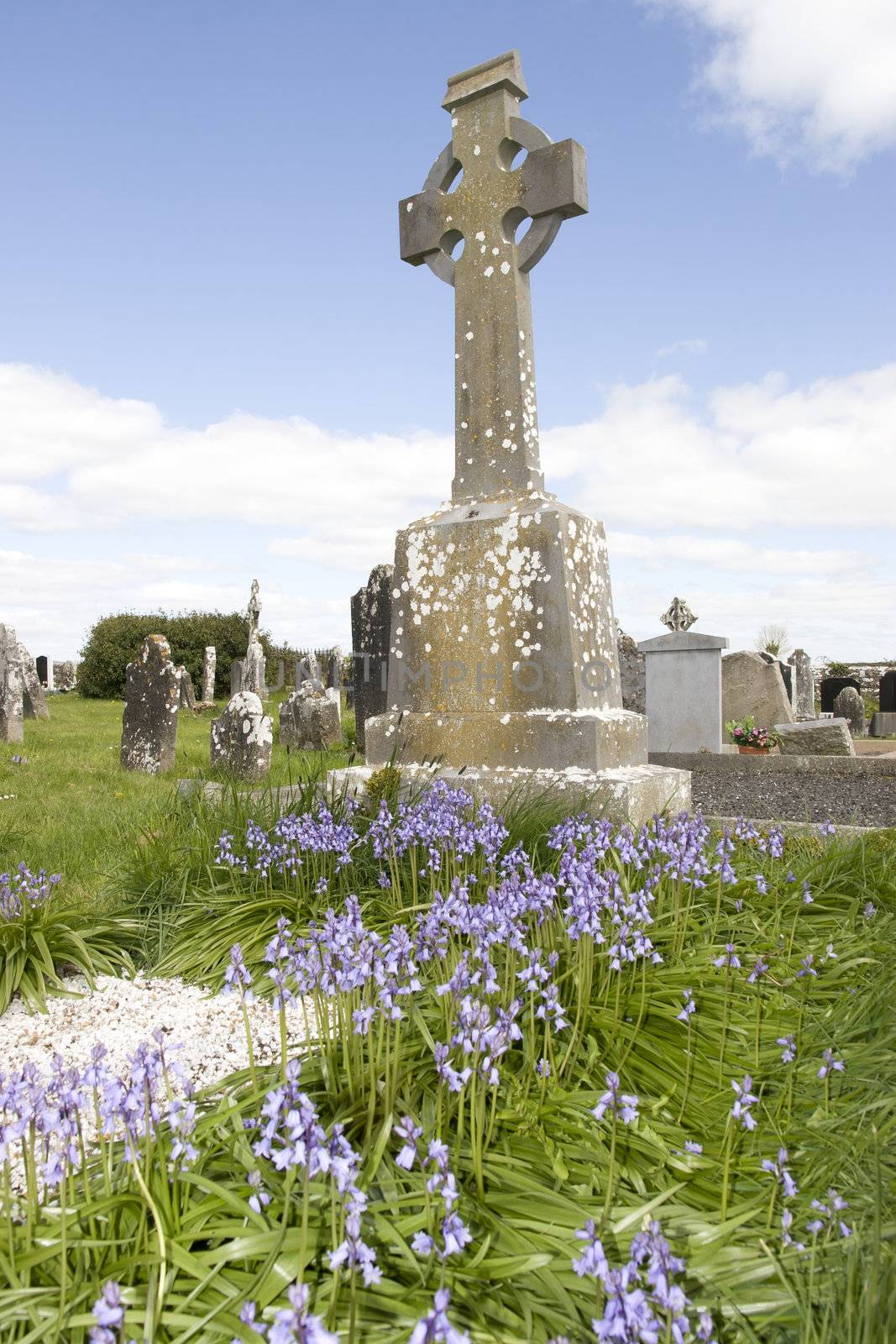 old ancient Celtic graveyard with unmarked gravestones and bluebell flowers in Ireland