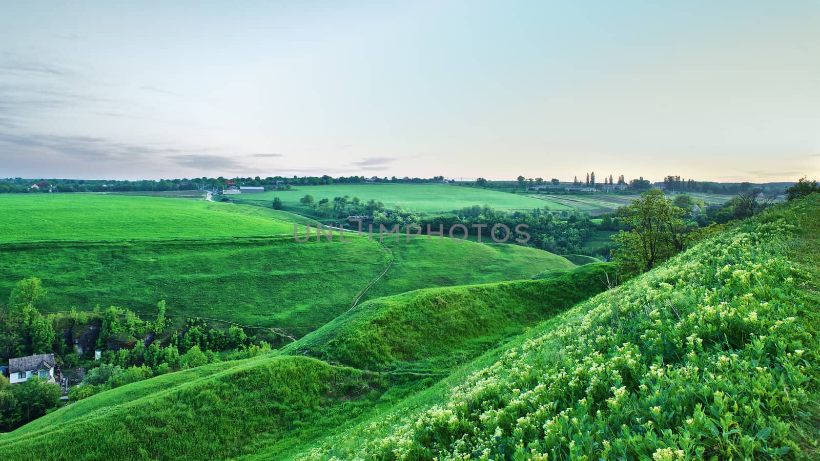 summer landscape with green meadows at evening