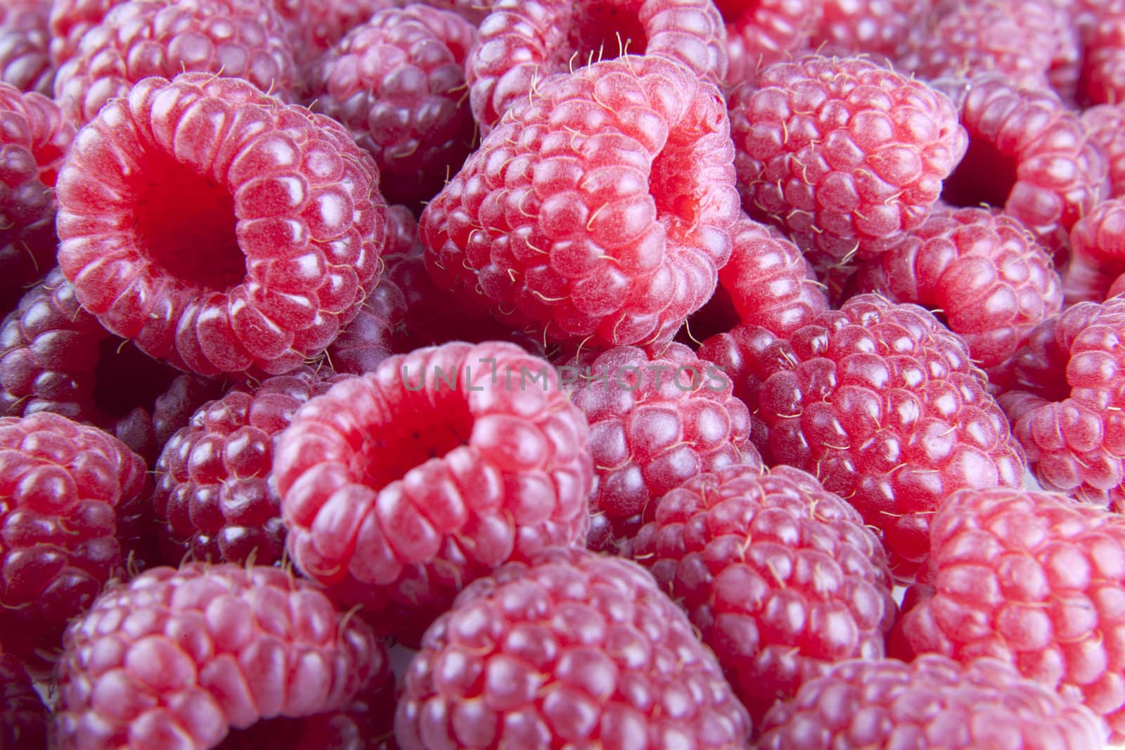 sweet fresh raspberries closeup 