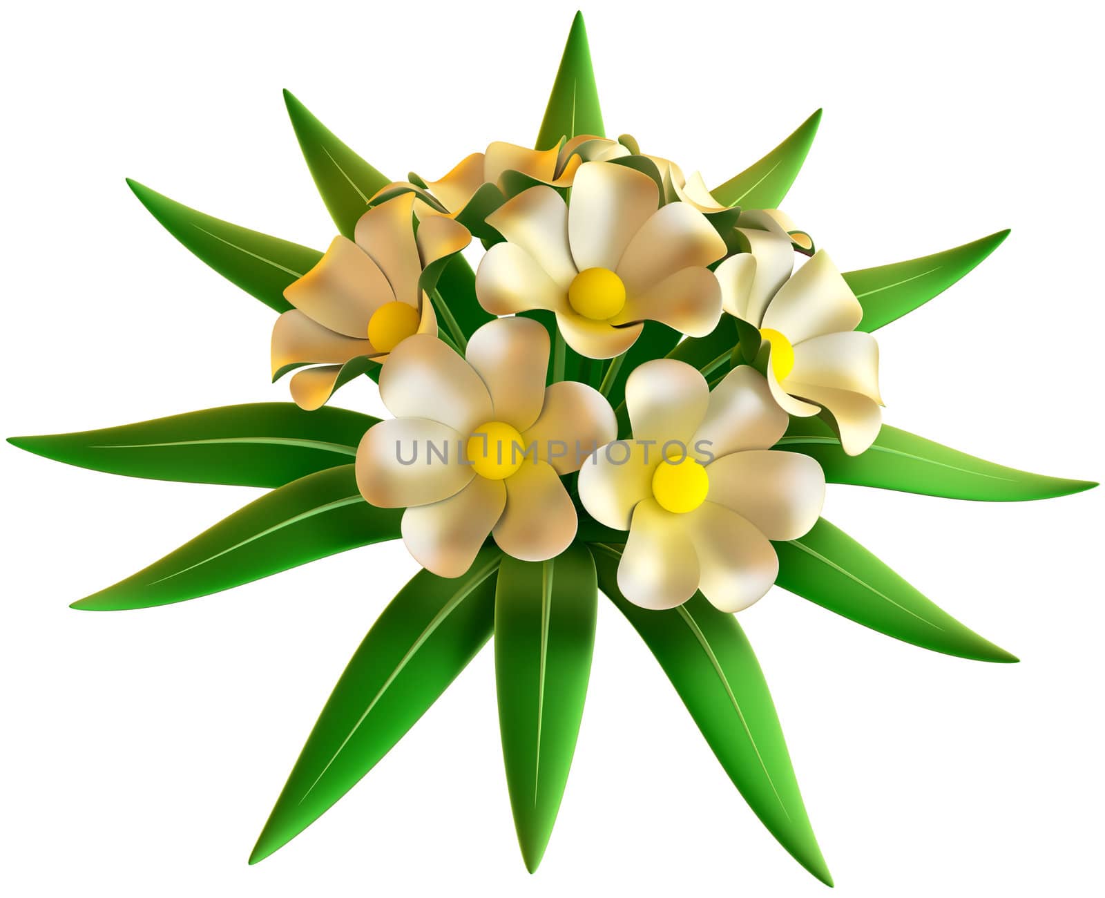 wedding bouquet of white flowers on white background