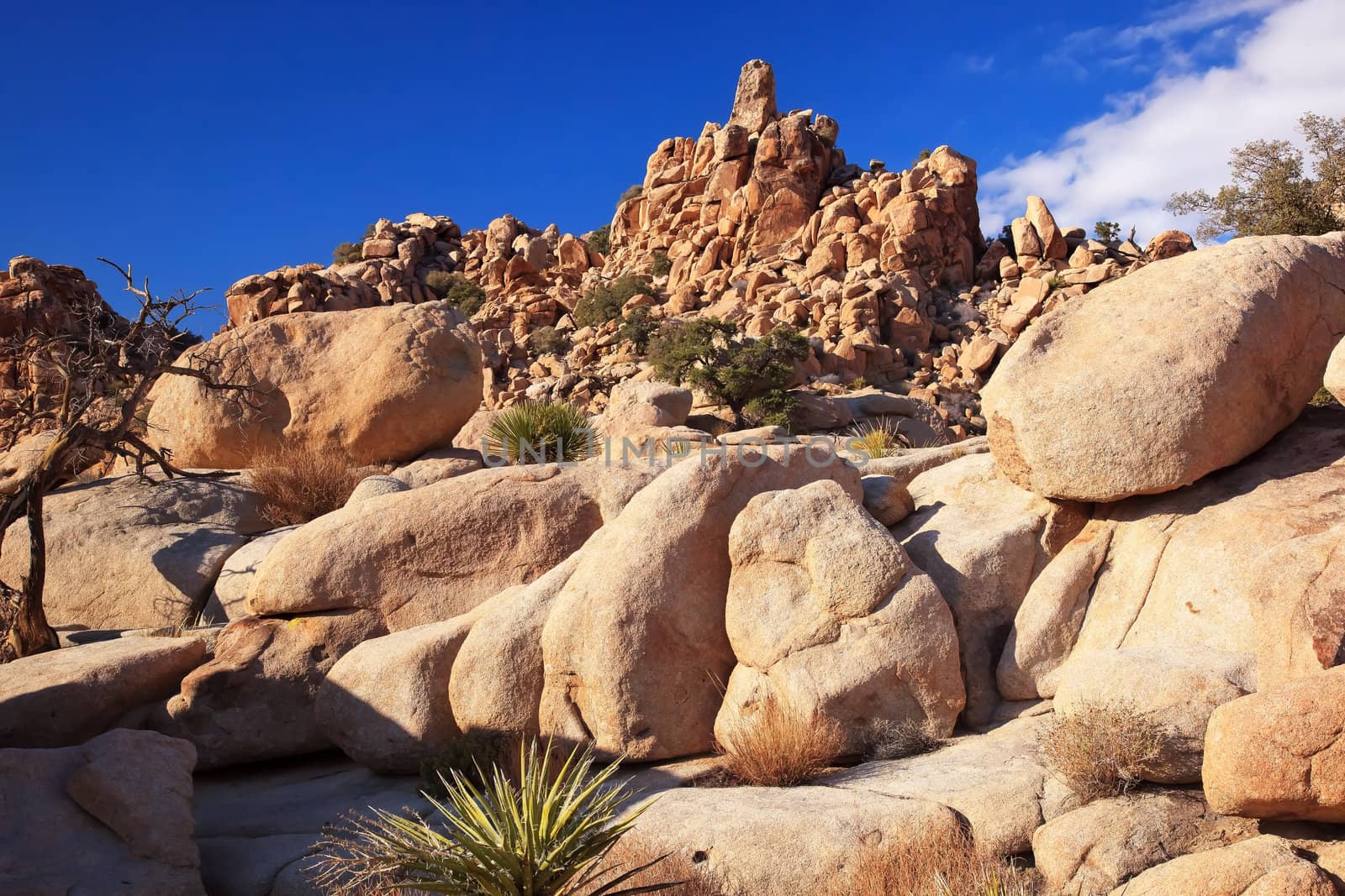 Rock Hills Hidden Valley Mojave Desert Joshua Tree National Park California