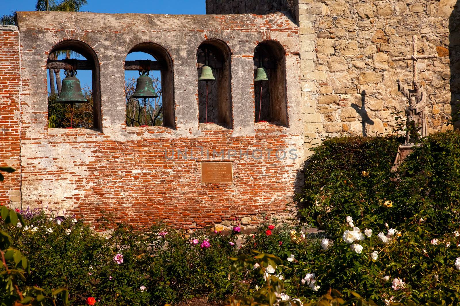 Mission San Juan Capistrano Church Rose Garden, Wall, Bells and Ruins in California.  The statue of Father Junipero Serra, who founded the Mission in 1775, and mission bells in the back.  The church was destroyed in 1812 by earthquake.