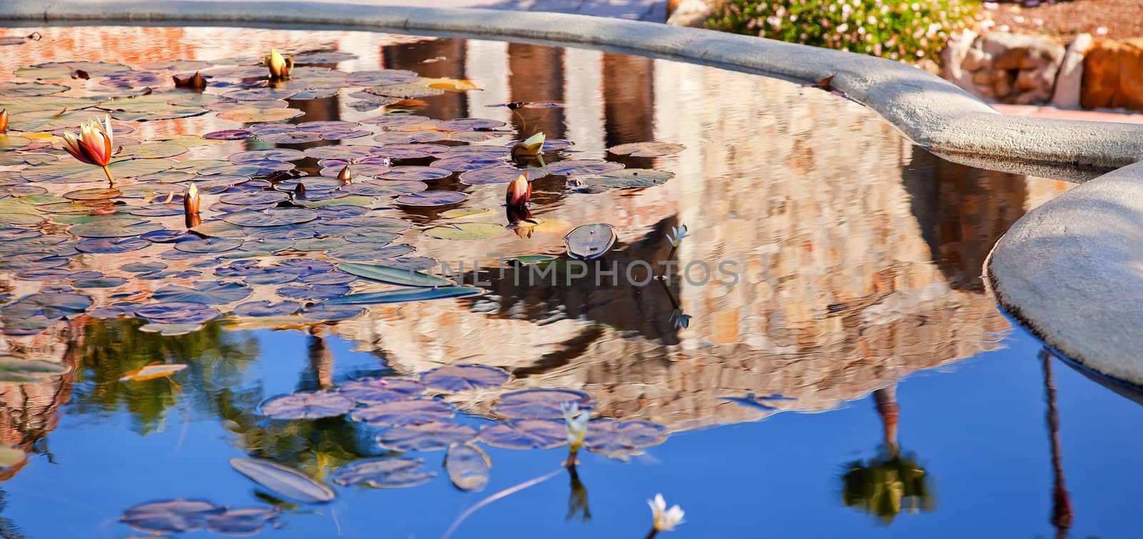Fountain Pool Reflection Abstract Mission San Juan Capistrano Ca by bill_perry