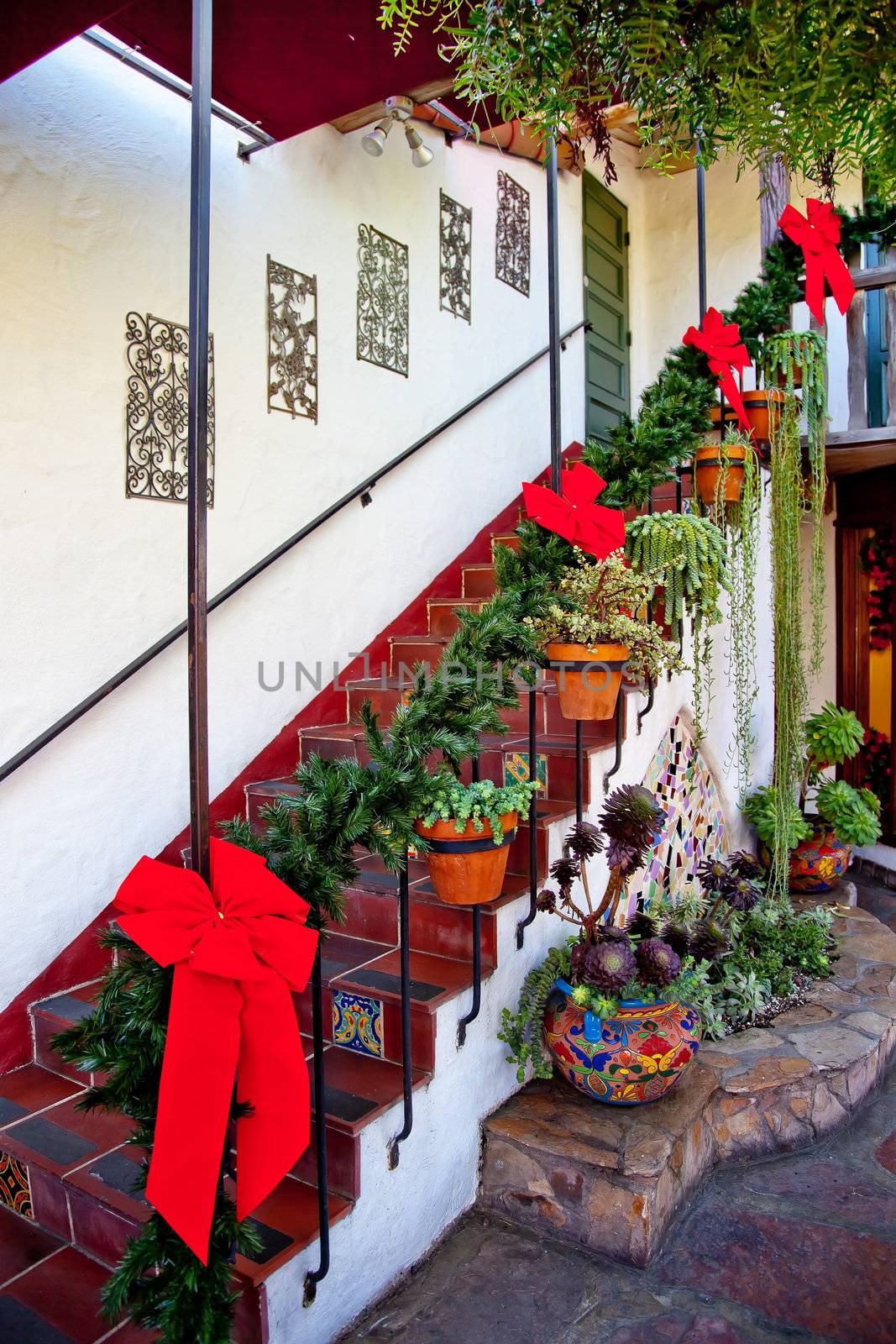 Steps and Stairs Christmas Decorations Red Ribbons Wreaths Cactu by bill_perry