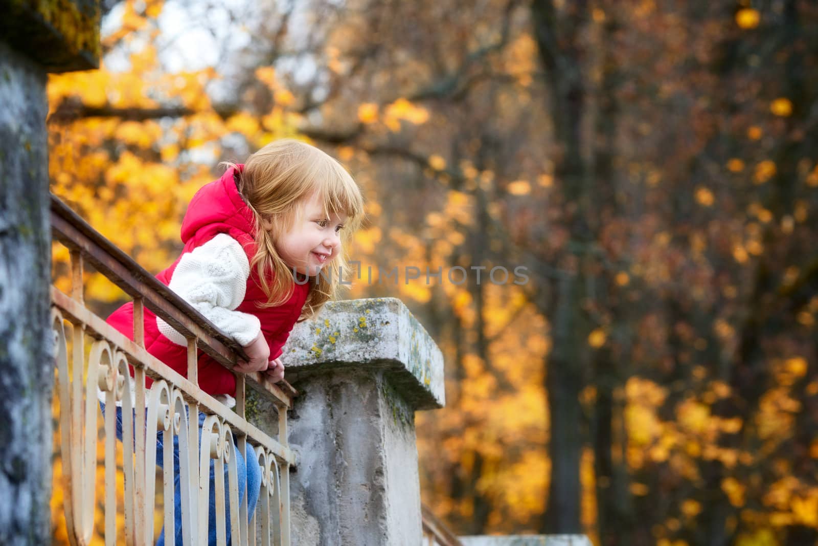 beautiful little girl on a bridge in autumn park