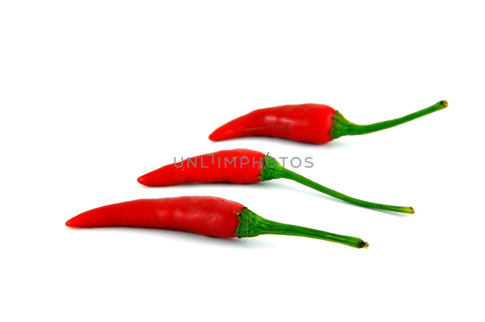 Chilli pepper by phanlop88