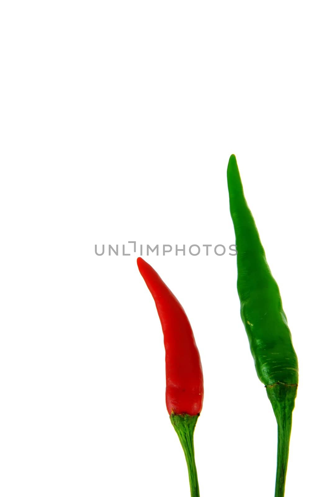 Red and green chilli peppers on white background 