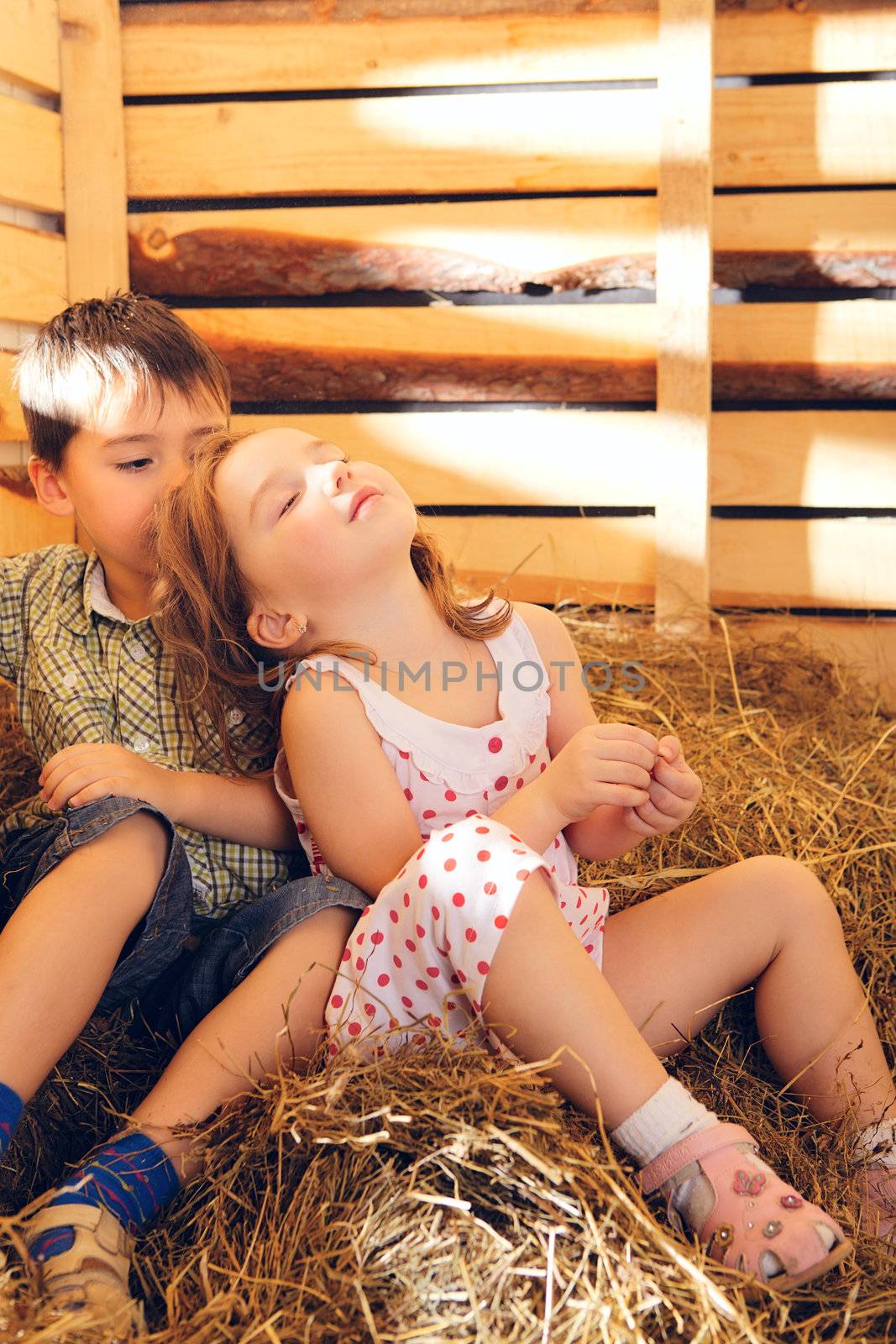 Children on Hayloft by petr_malyshev