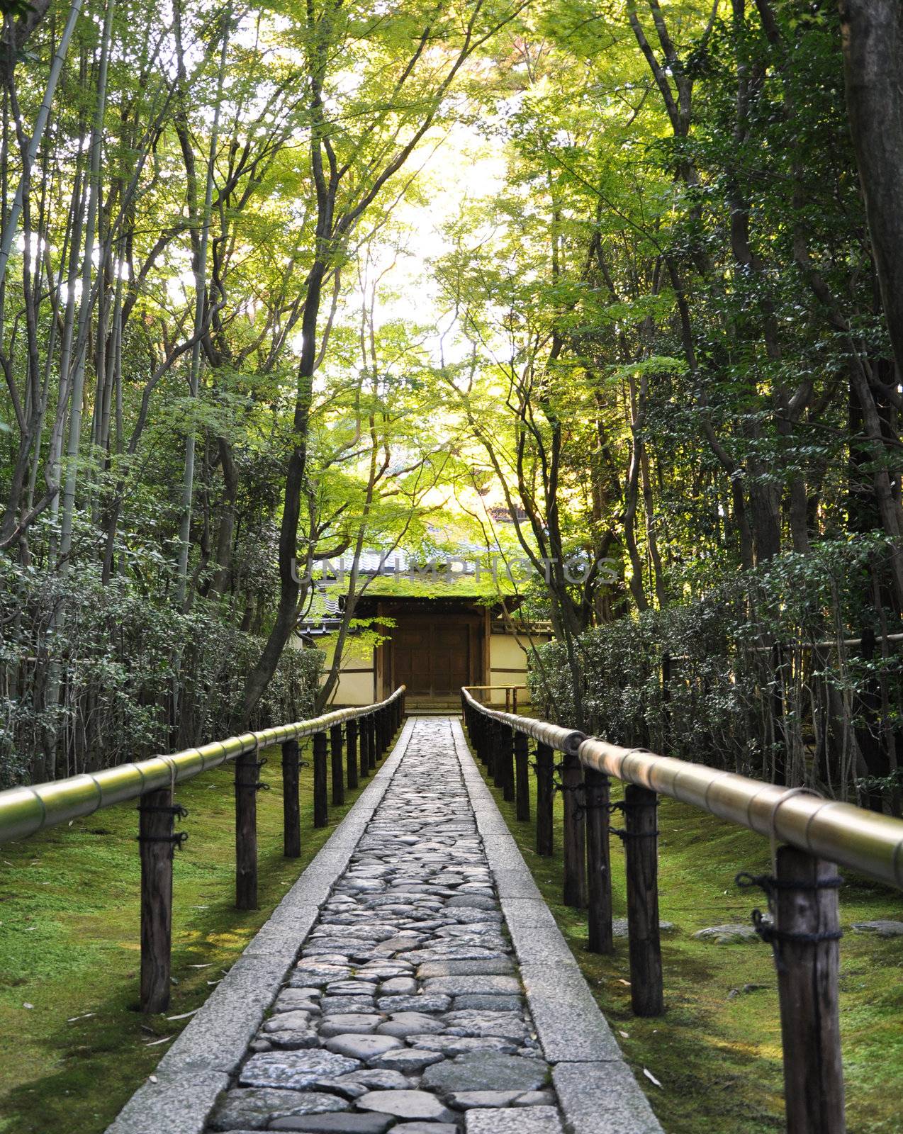 Approach road to Koto-in a sub-temple of Daitoku-ji - Kyoto, Japan 