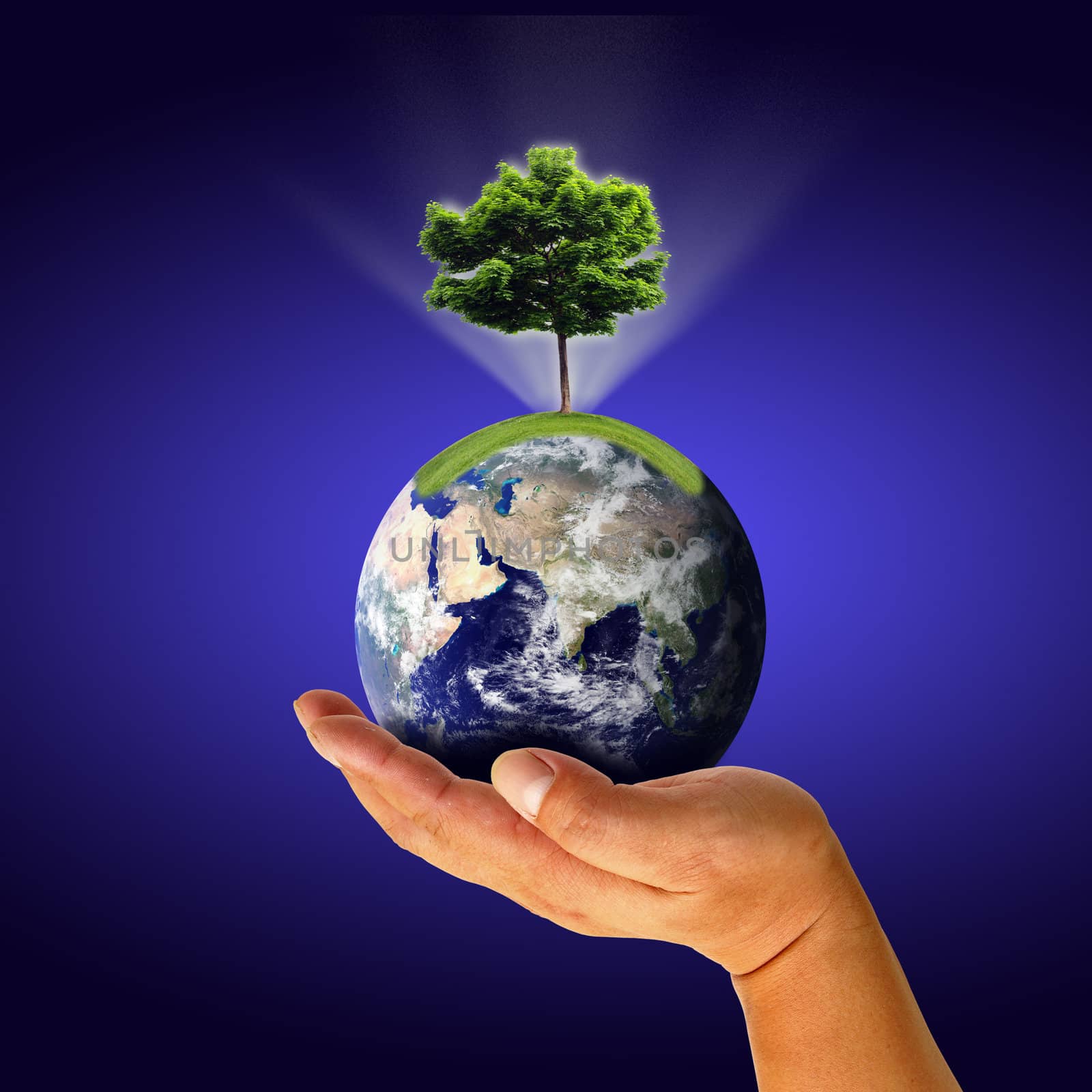 Male hand holding the Earth with tree