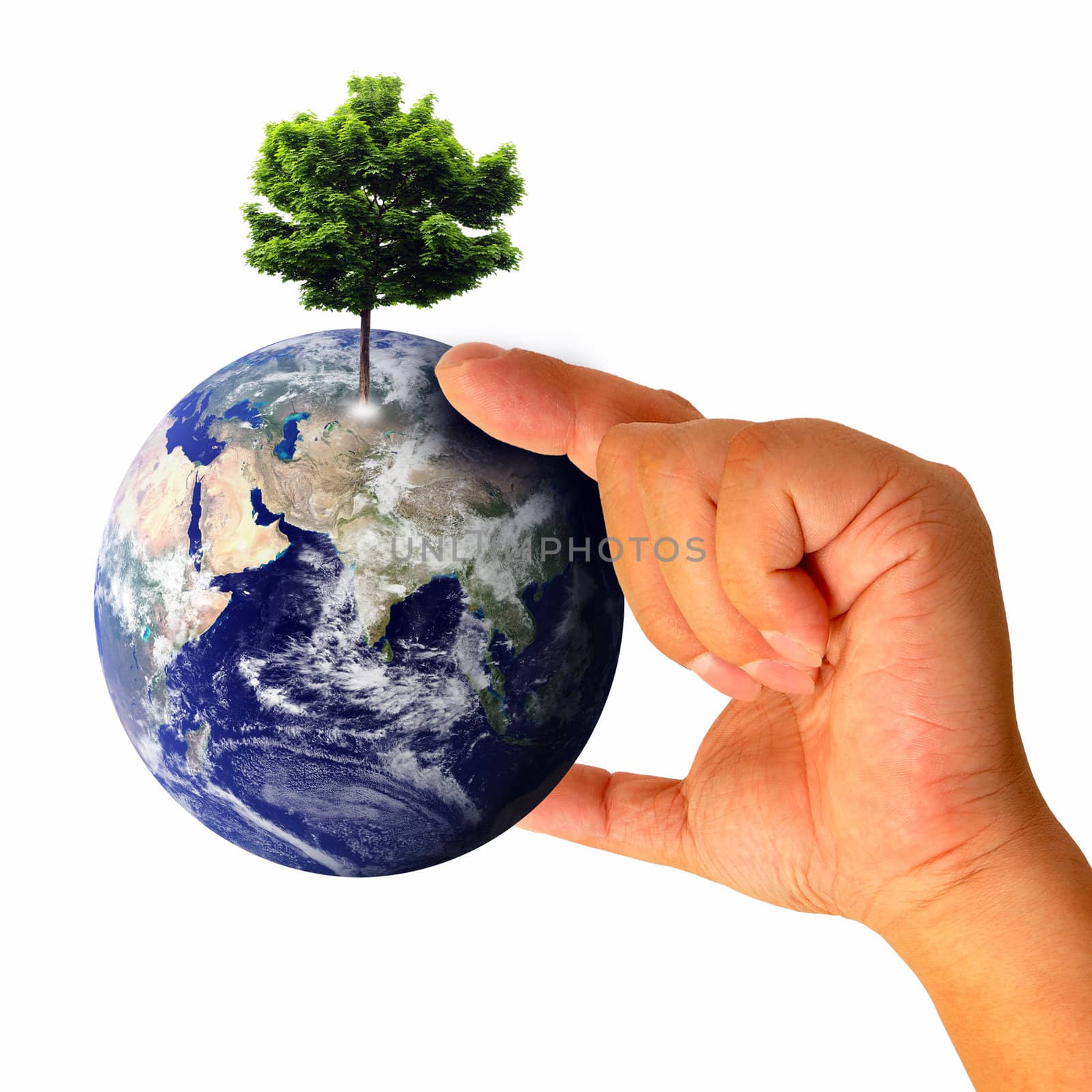 Male hand holding the Earth with tree