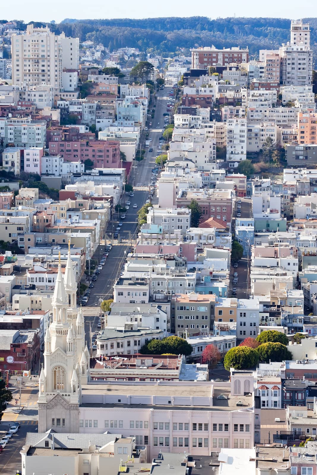 St Peter and Paul Church Hill Apartment Buildings from Coit Tower San Francisco California on Telegraph Hill.