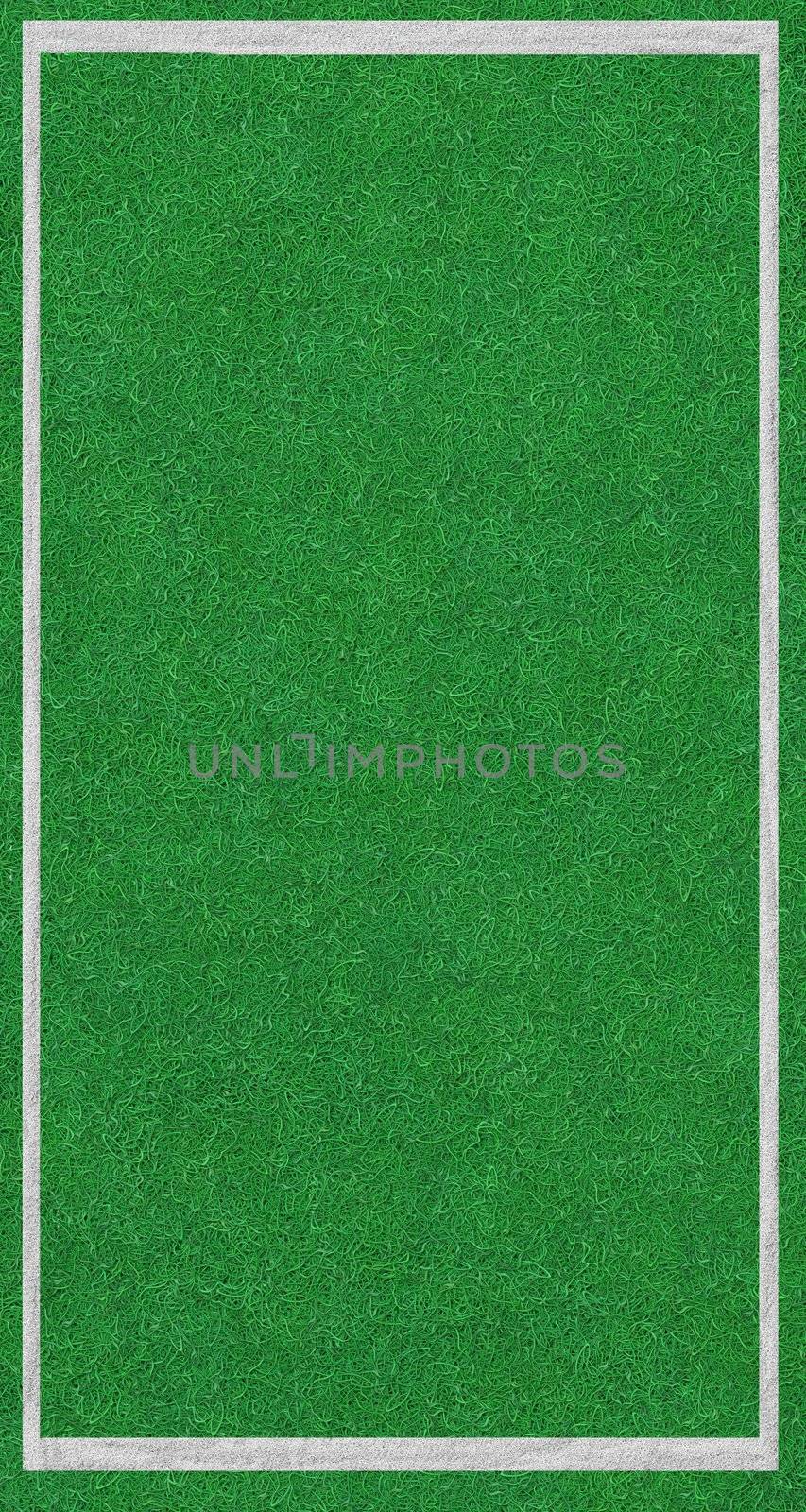 sport field background