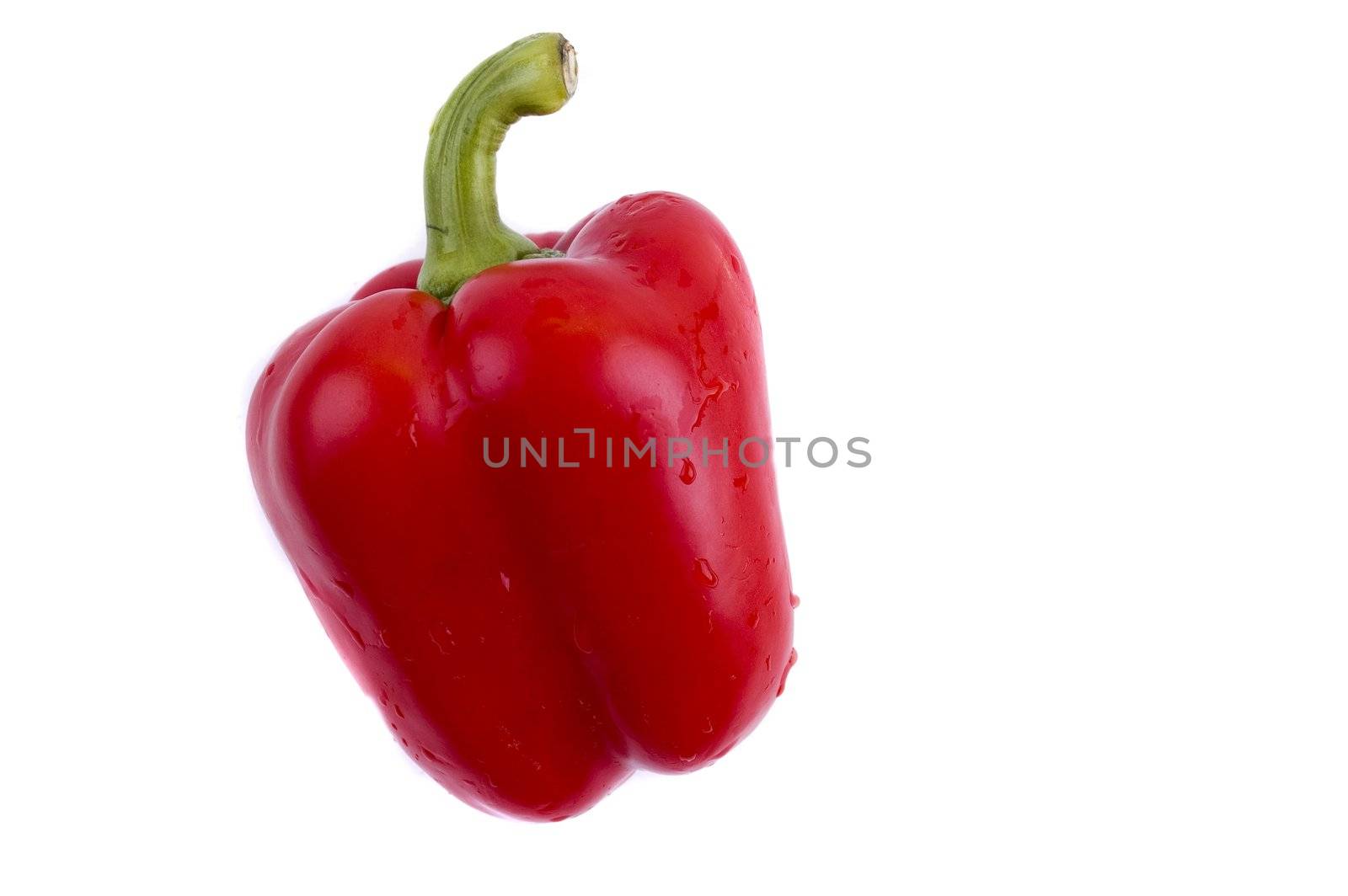 one red pepper by Triphka