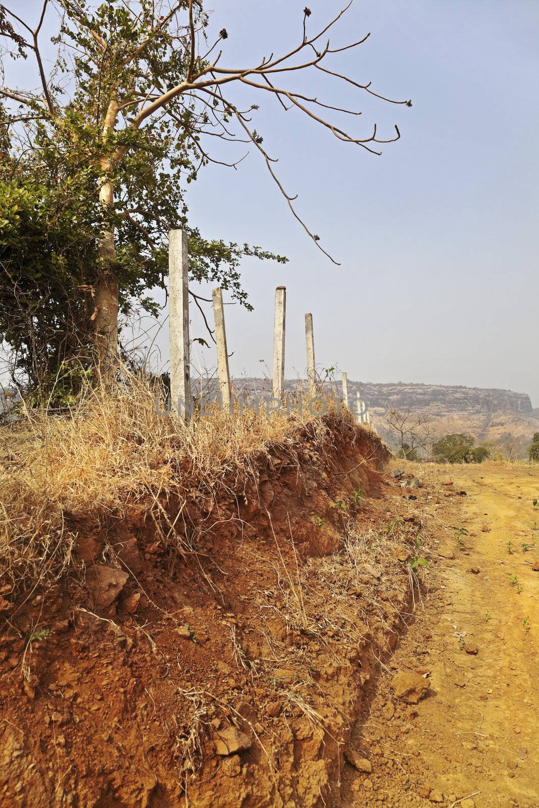 In the background are the Sahyadhri mountains in Maharashtra India, families have lived and worked as they have done for centuries, without electrical power or running water. Recycling, living of the land harvest and eco system where ever possible and almost everything is biodegradable. Now the developers are coming, the pillars are up, fence will follow