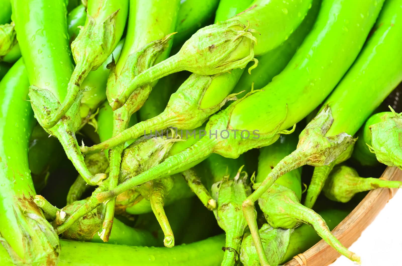 Fresh green eggplants by raweenuttapong