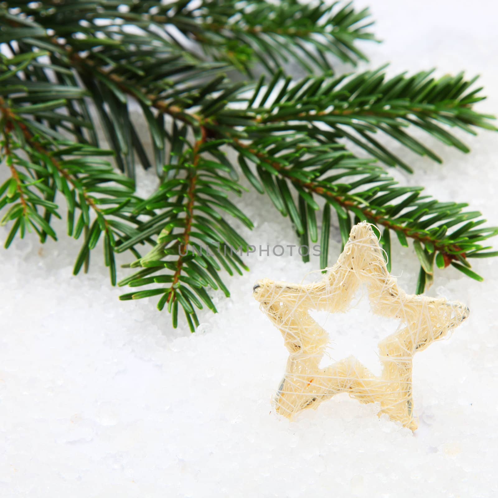Golden Christmas star in fresh winter snow with a fir branch and copyspace for your seasonal greeting