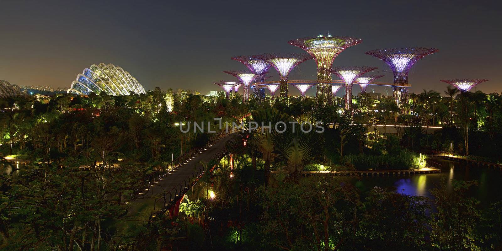 SINGAPORE - JANUARY 23: Night view of Supertree Grove at Gardens by the Bay on January 23, 2013 in Singapore. Spanning 250 acres of reclaimed land in central Singapore, adjacent to the Marina Reservoir.