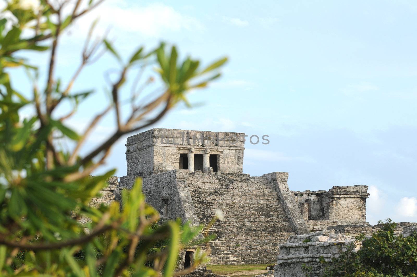 Ancient Mayan Ruins in Mexico