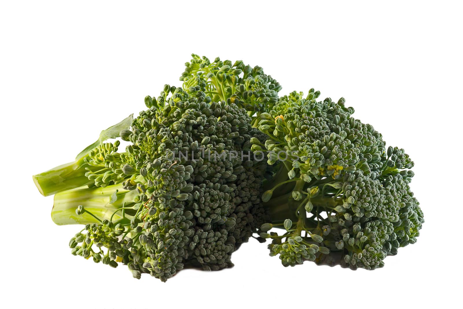 Broccoli close-up, isolated on white background.