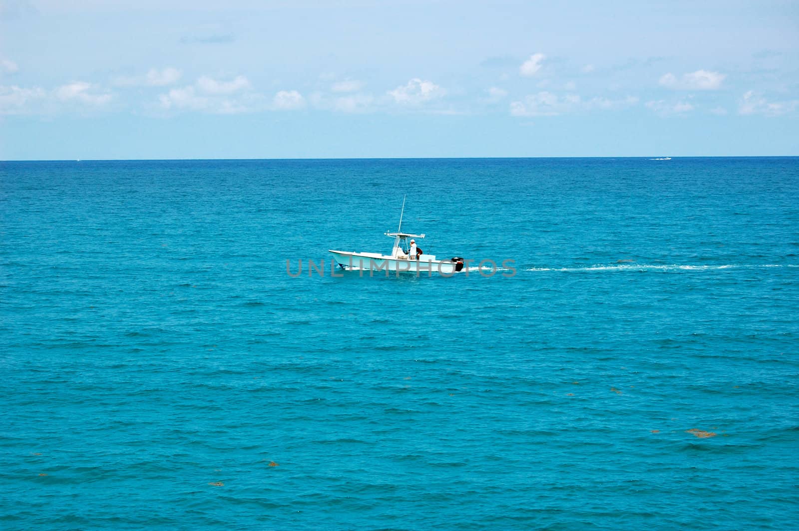 Jupiter Florida Speedboat
