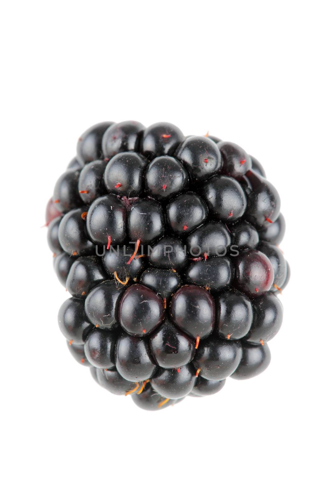 single ripe blackberry against white background