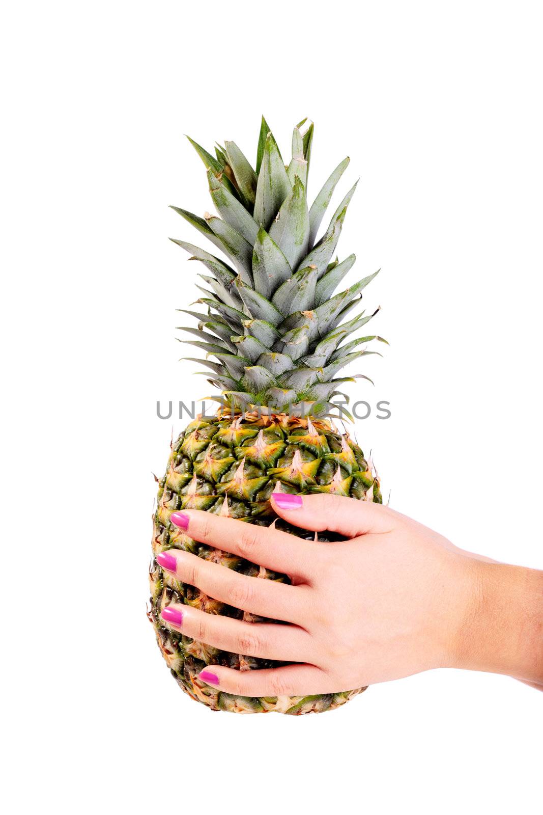 hands holding a pineapple isolated on white background