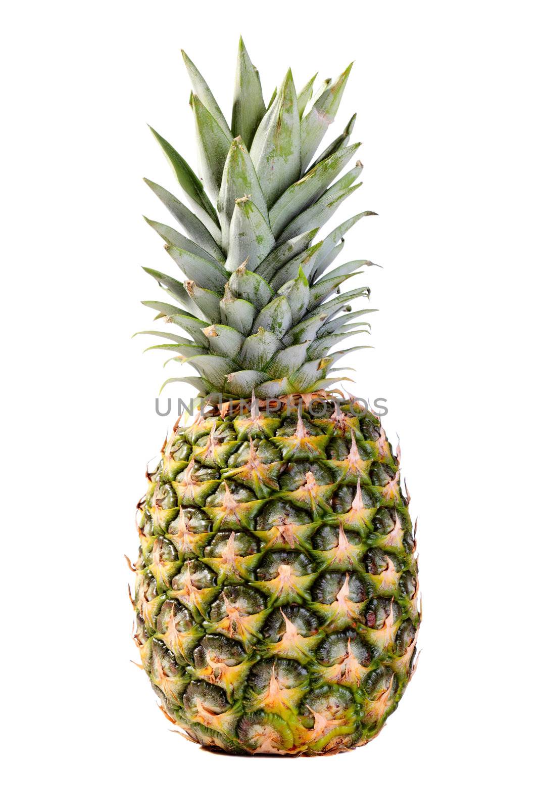 pineapple by kokimk