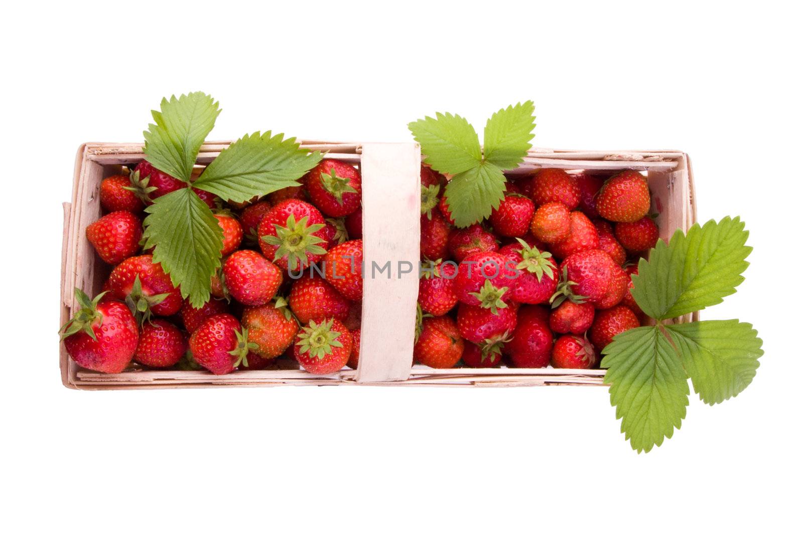 Strawberries on white by Gbuglok