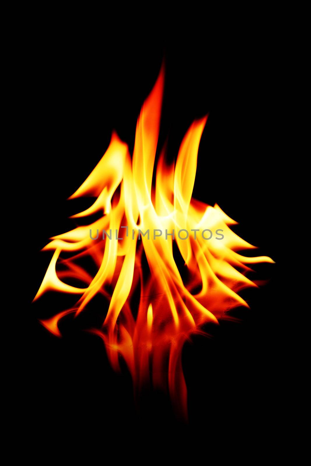 flames and fire burning on black background