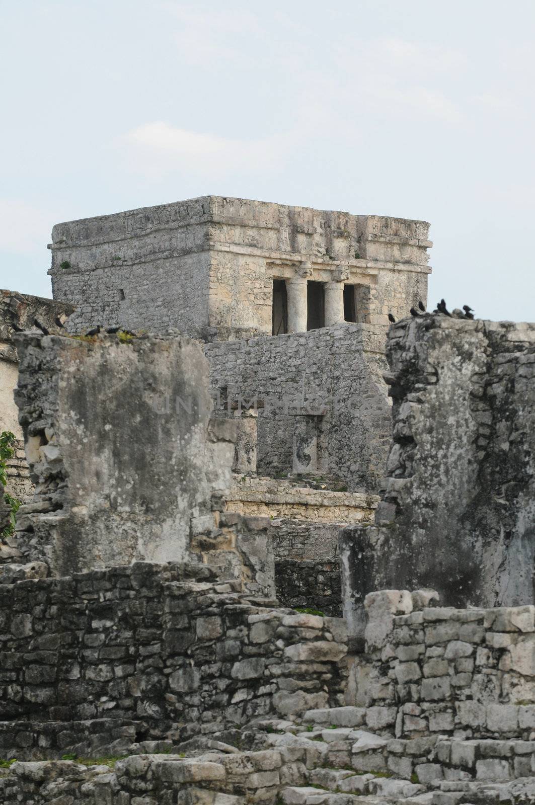 Mayan Tulum Ruins in Mexico