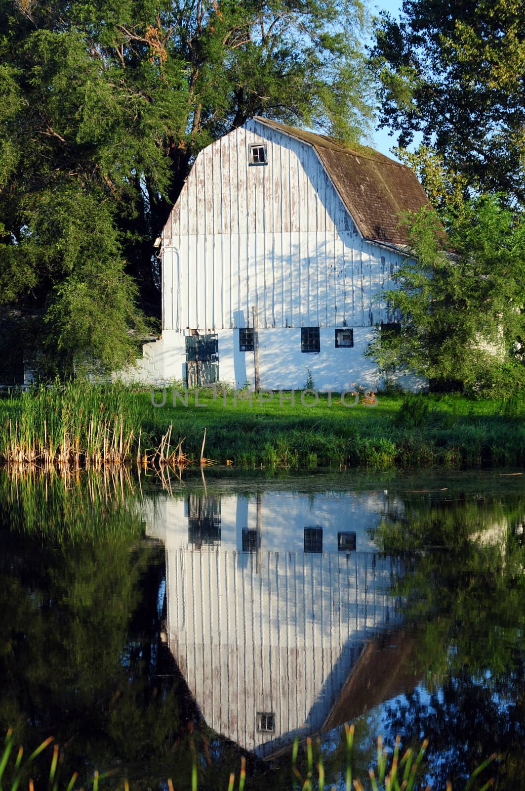 white barn on a farm in the country with a pond reflection during summer