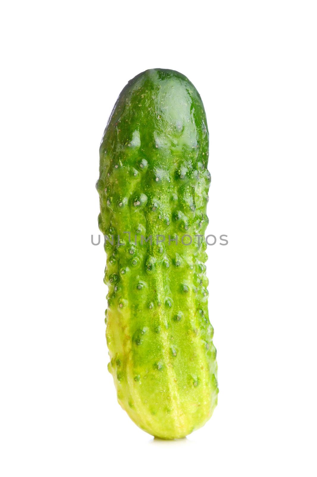 small green cucumber isolated on white background