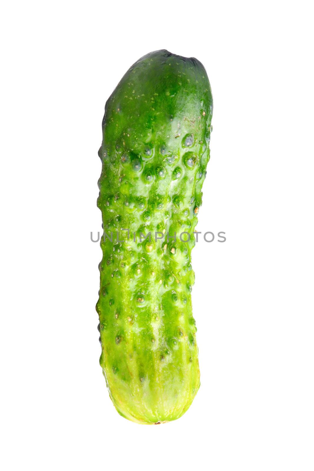 small green cucumber isolated on white background