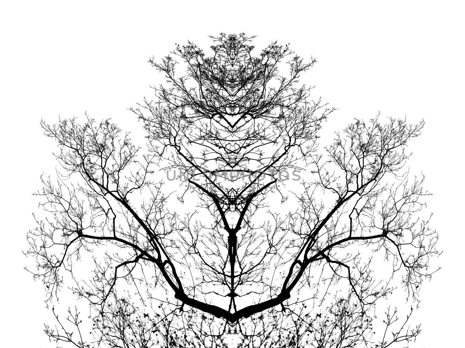 tree branches sulhouettes, isolated on white background