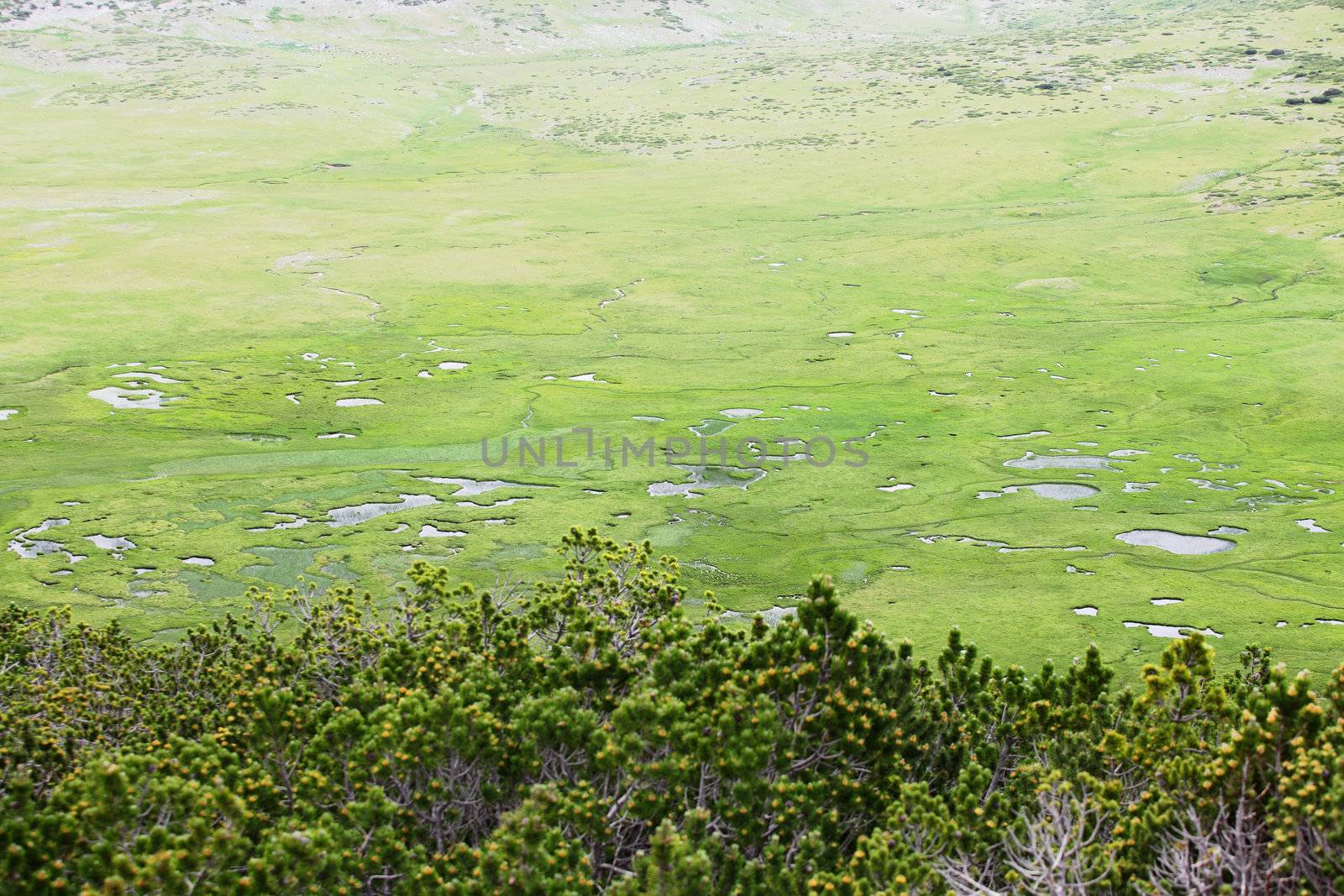 Begovo Field, Jakupica mauntain range in Macedonia