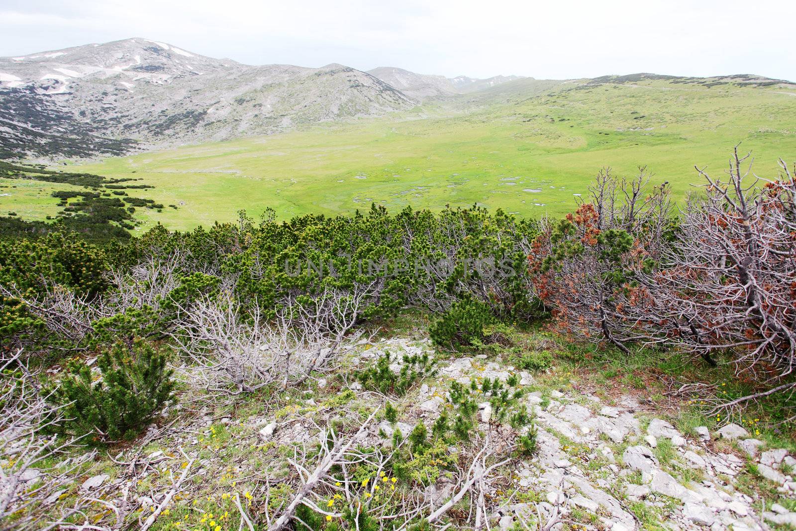 Begovo Field, Jakupica mauntain range in Macedonia