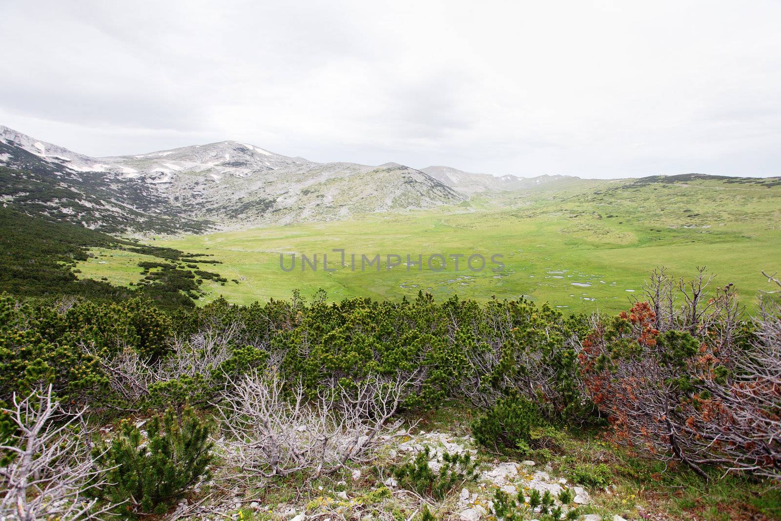 Begovo Field, Jakupica mauntain range in Macedonia